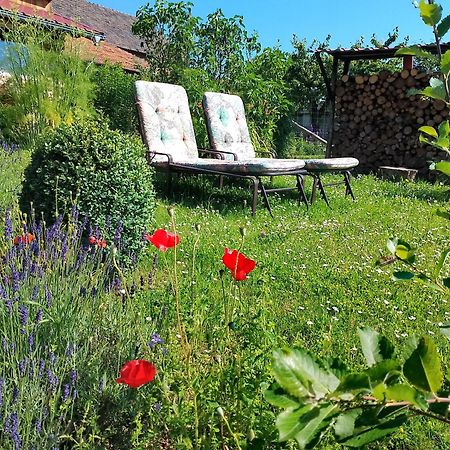 דירות Nettersheim Loft Eifel Idylle מראה חיצוני תמונה