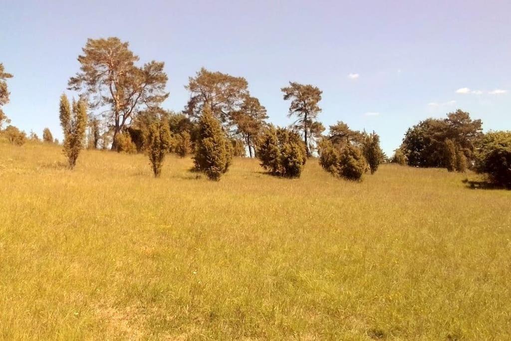 דירות Nettersheim Loft Eifel Idylle מראה חיצוני תמונה