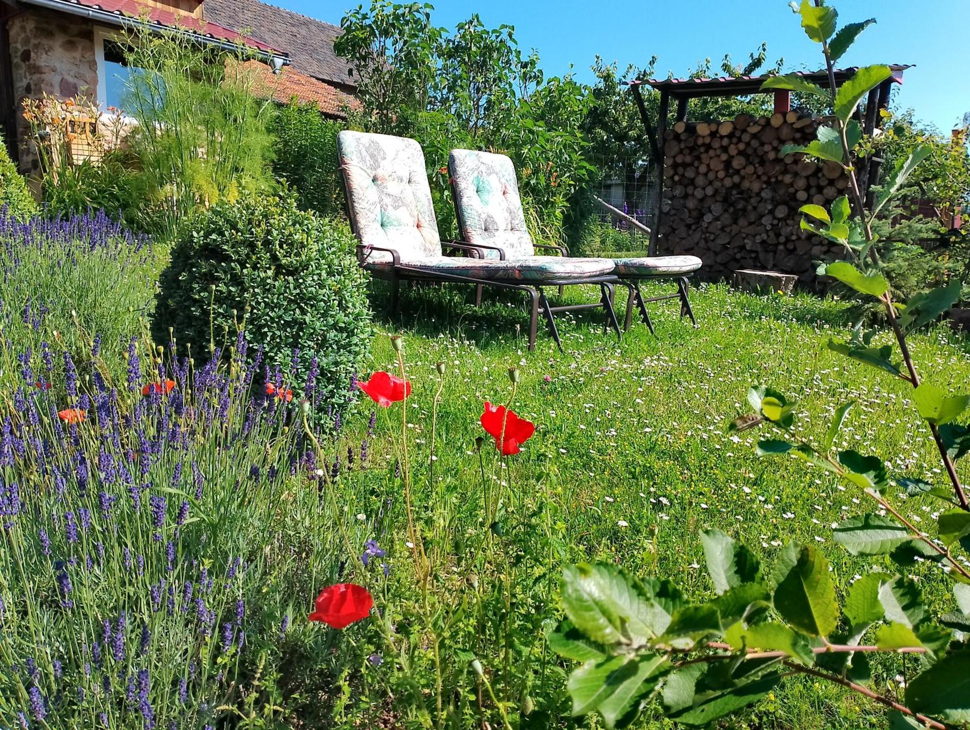 דירות Nettersheim Loft Eifel Idylle מראה חיצוני תמונה
